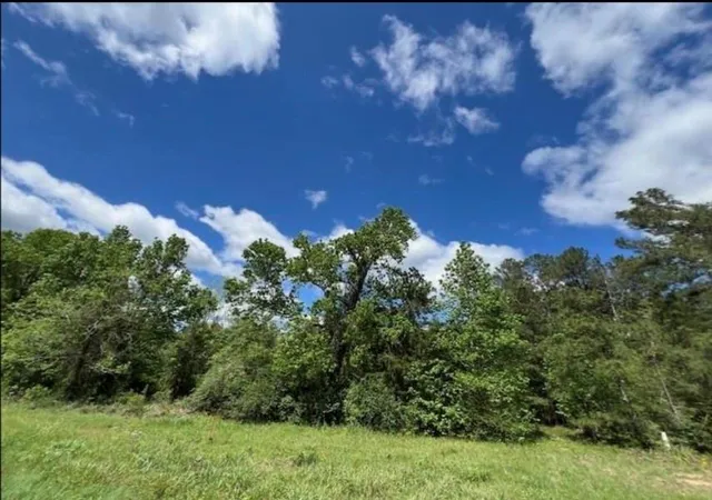 1st image of Tbd Us Hwy 59 N, Moscow, TX 75960 | MLS# 28081611