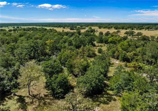 Photo 4 of Land for sale at 1470 Cedar Cir, Somerville, TX 77879 | MLS# 70533194 | Listing updated on 2026-07-24
