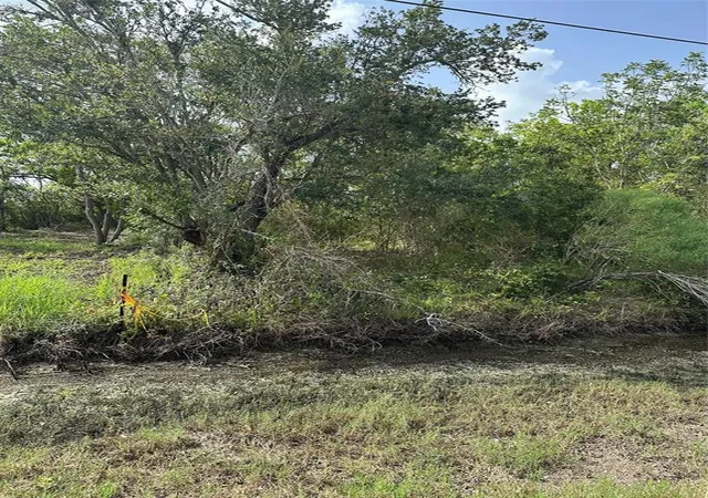 Photo 2 of Land for sale at 0 N Belt St, Brazoria, TX 77422 | MLS# 96889150 | Listing updated on 2026-08-17