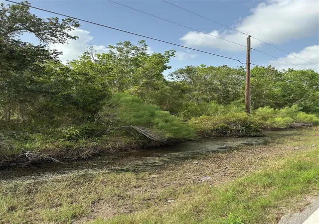 Photo 3 of Land for sale at 0 N Belt St, Brazoria, TX 77422 | MLS# 96889150 | Listing updated on 2026-08-17