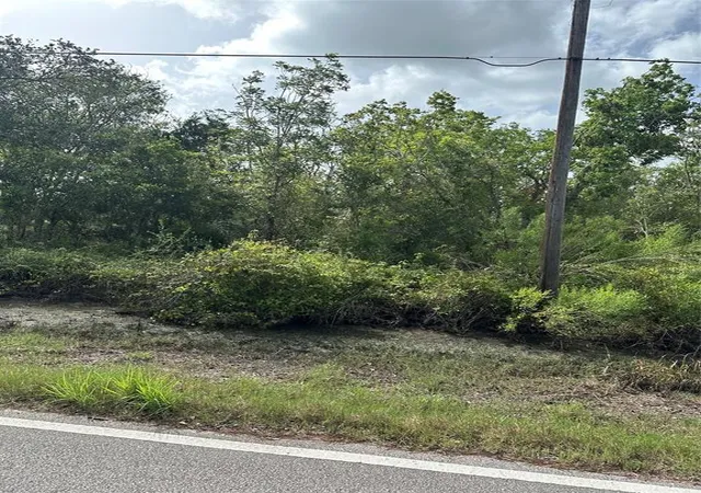 Photo 4 of Land for sale at 0 N Belt St, Brazoria, TX 77422 | MLS# 96889150 | Listing updated on 2026-08-17