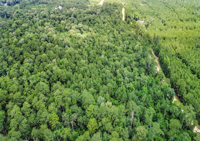 Photo 3 of Land for sale at Tbd Capps Rd, Livingston, TX 77351 | MLS# 26055594 | Listing updated on 2026-09-21