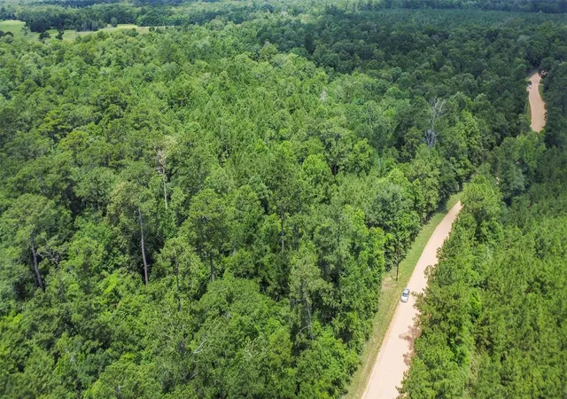 Photo 4 of Land for sale at Tbd Capps Rd, Livingston, TX 77351 | MLS# 26055594 | Listing updated on 2026-09-21
