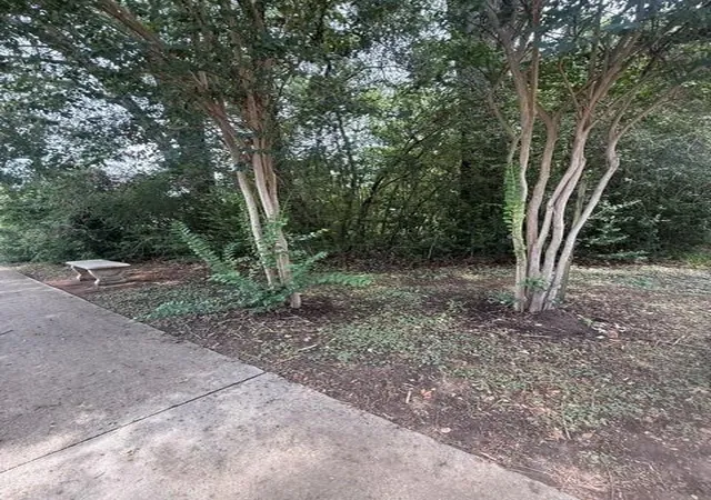 Photo 3 of Land for sale at 12902 Walden Rd, Montgomery, TX 77356 | MLS# 48936953 | Listing updated on 2026-08-06