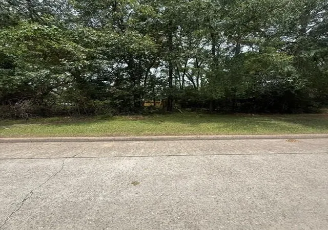 Photo 4 of Land for sale at 12902 Walden Rd, Montgomery, TX 77356 | MLS# 48936953 | Listing updated on 2026-08-06