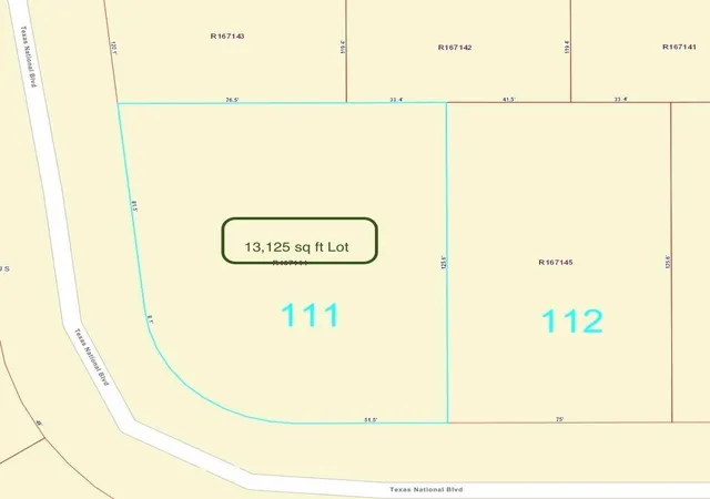 Homes for sale in Willis, TX | Tbd Lot 111 Texas National, Willis, TX 77378 | MLS# 6397631
