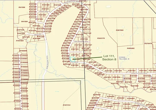 Homes for sale in Willis, TX | Tbd Lot 111 Texas National, Willis, TX 77378 | MLS# 6397631