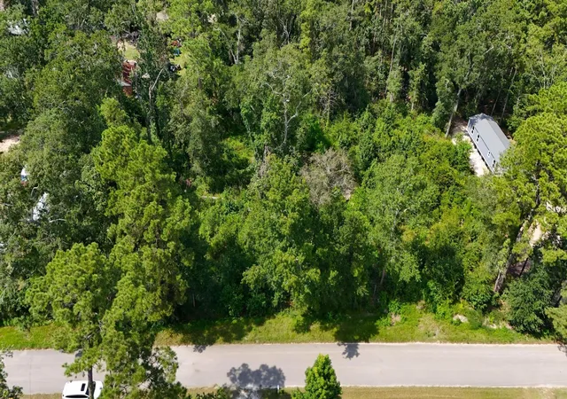2nd image of 21289 Walker Dr, Conroe, TX 77306 | MLS# 14946156