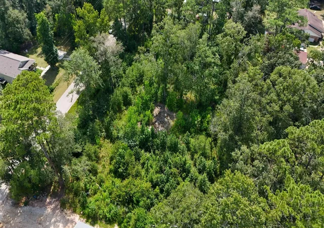 5th image of 21289 Walker Dr, Conroe, TX 77306 | MLS# 14946156