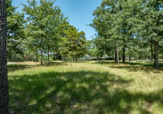 Homes for sale in Bullard, TX | 137 Eagles Bluff Blvd S, Bullard, TX 75757 | MLS# 97571364