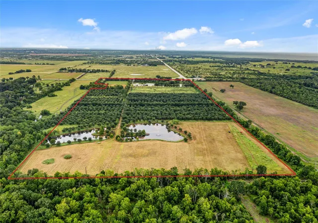Homes for sale in Damon, TX | 23111 Fm 1462 Rd, Damon, TX 77430 | MLS# 5423053