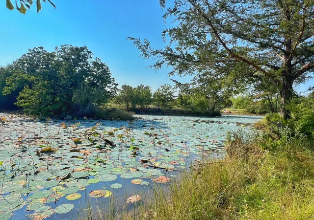 3rd image of 5403 Dry Creek, Calvert, TX 77837 | MLS# 69314696