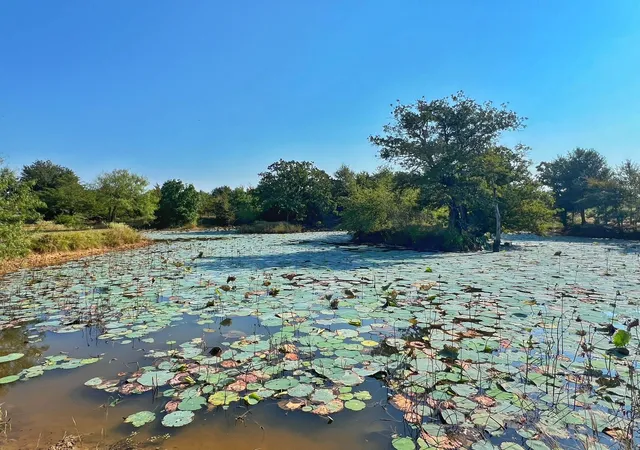 4th image of 5403 Dry Creek, Calvert, TX 77837 | MLS# 69314696