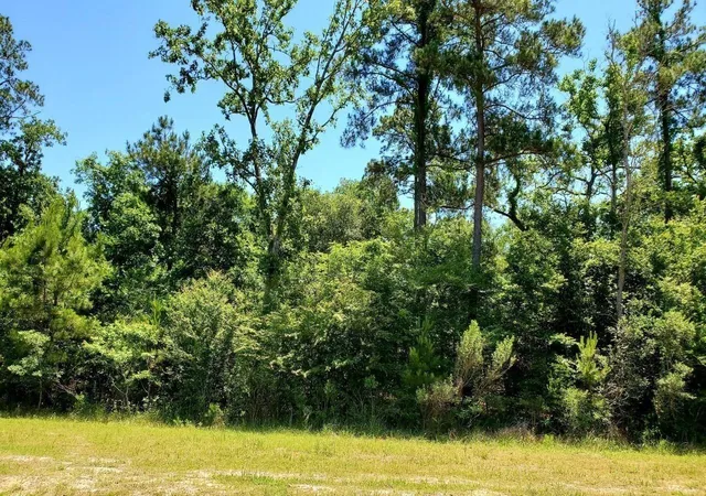 Photo 3 of Land for sale at 141 Kings Lake Ests Blvd, Humble, TX 77346 | MLS# 5603088 | Listing updated on 2026-01-31