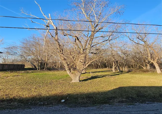 Photo 2 of Land for sale at 0 N Lehall Ave, Houston, TX 77021 | MLS# 80674095 | Listing updated on 2026-09-08