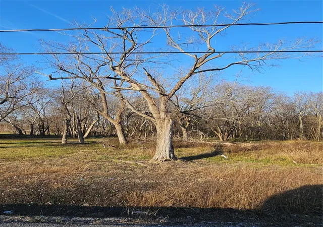 Photo 3 of Land for sale at 0 N Lehall Ave, Houston, TX 77021 | MLS# 80674095 | Listing updated on 2026-09-08