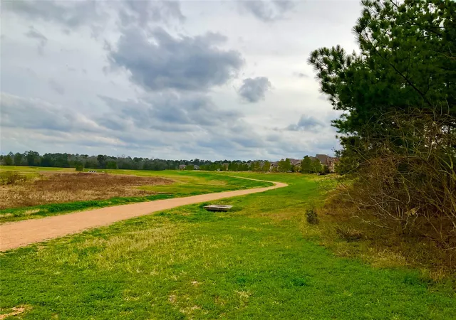 50th image of 60 Melon Summer Dr, Magnolia, TX 77354 | MLS# 10281248
