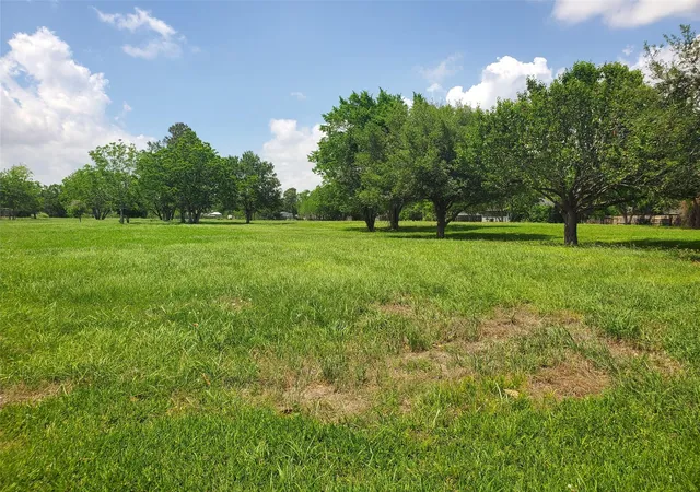 5th image of 1610 Coryell St, League City, TX 77573 | MLS# 64325275