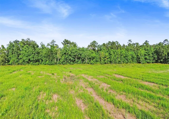 Photo 3 of Land for sale at Tbd Interstate 10 W, Wallisville, TX 77597 | MLS# 93780082 | Listing updated on 2026-06-12