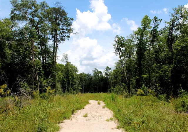 Photo 1 of Land for sale at 12425 Picos Rd, Saratoga, TX 77585 | MLS# 28044585 | Listing updated on 2026-08-28