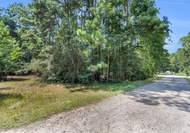 Photo 4 of Land for sale at 0 Walnut Dr, Montgomery, TX 77356 | MLS# 68484316 | Listing updated on 2026-09-18