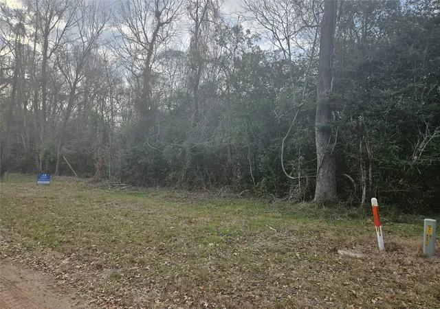 1st image of 0 Winding Creek Dr, Shepherd, TX 77371 | MLS# 18462755