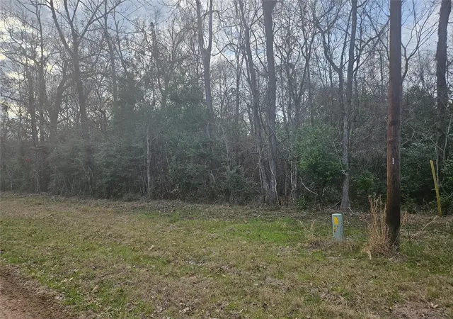 4th image of 0 Winding Creek Dr, Shepherd, TX 77371 | MLS# 18462755