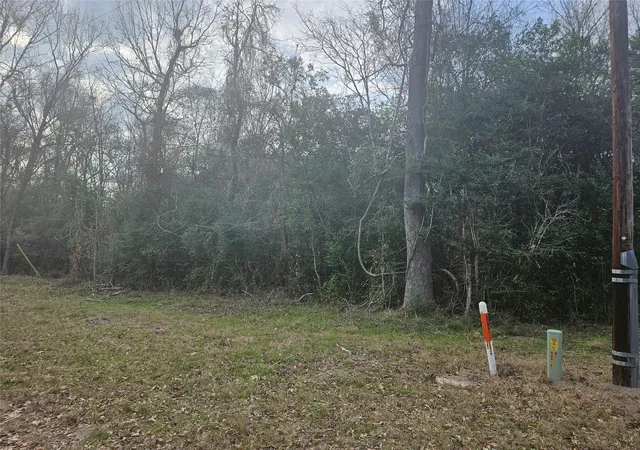 5th image of 0 Winding Creek Dr, Shepherd, TX 77371 | MLS# 18462755