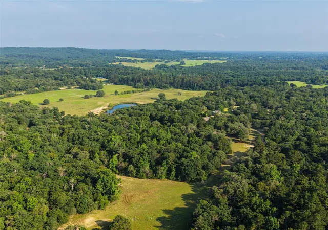 Photo 1 of Land for sale at 12313 N Sh 19, Montalba, TX 75853 | MLS# 8982900 | Listing updated on 2026-07-26