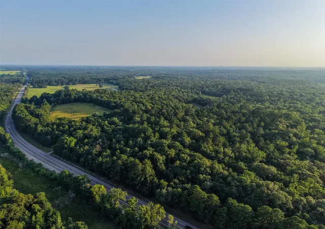 Photo 2 of Land for sale at 12313 N Sh 19, Montalba, TX 75853 | MLS# 8982900 | Listing updated on 2026-07-26