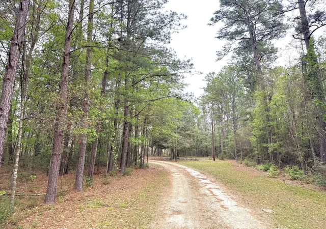 Homes for sale in Warren, TX | 297 County Road 4479, Warren, TX 77664 | MLS# 68154023