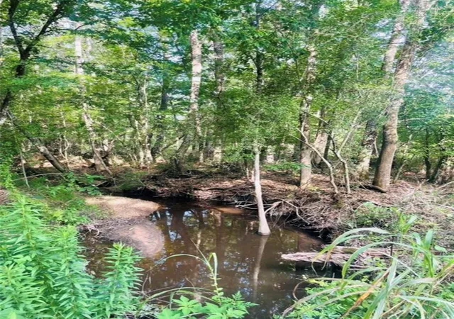 1st image of 002 Bracewell Cemetery Road, Livingston, TX 77351 | MLS# 8656850