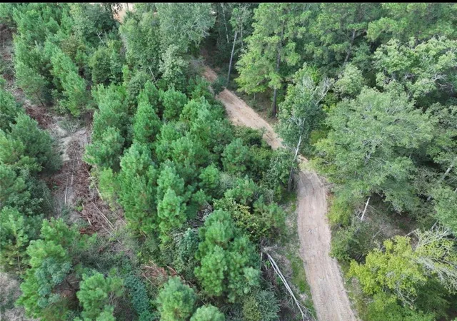 2nd image of 002 Bracewell Cemetery Road, Livingston, TX 77351 | MLS# 8656850