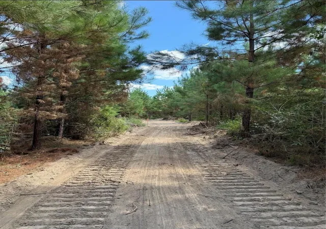 3rd image of 002 Bracewell Cemetery Road, Livingston, TX 77351 | MLS# 8656850
