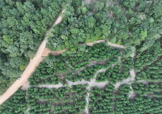 4th image of 002 Bracewell Cemetery Road, Livingston, TX 77351 | MLS# 8656850