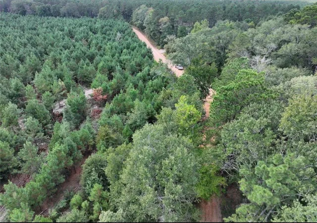 5th image of 002 Bracewell Cemetery Road, Livingston, TX 77351 | MLS# 8656850