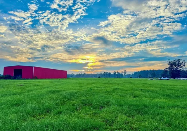 1st image of Tbd Cr 1450, Warren, TX 77664 | MLS# 62926109