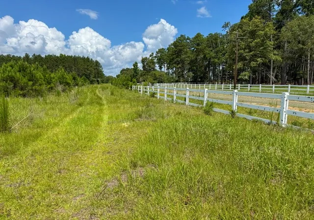 49th image of Tbd Cr 1450, Warren, TX 77664 | MLS# 62926109