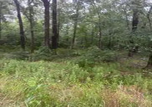 Photo 3 of Land for sale at Tbd Moonbeam Dr, Livingston, TX 77351 | MLS# 80034300 | Listing updated on 2026-09-16