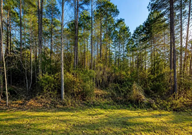 Photo 1 of Land for sale at 270 Curry St, Livingston, TX 77351 | MLS# 39596252 | Listing updated on 2026-09-14