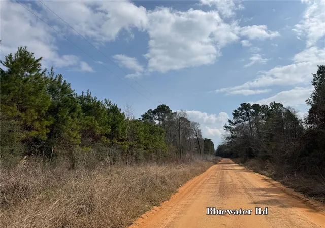 14th image of 3 Menard Chapel Road, Livingston, TX 77351 | MLS# 87452043