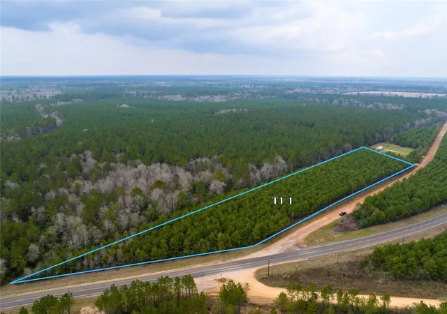 2nd image of 3 Menard Chapel Road, Livingston, TX 77351 | MLS# 87452043
