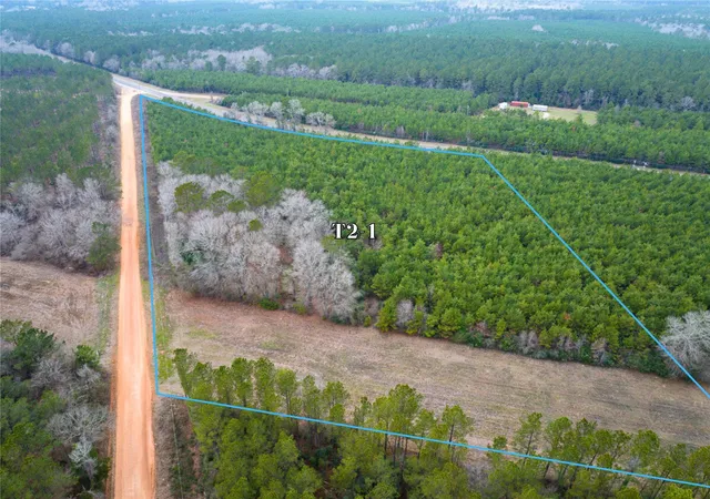 3rd image of 2 Menard Chapel Road, Livingston, TX 77351 | MLS# 5157582
