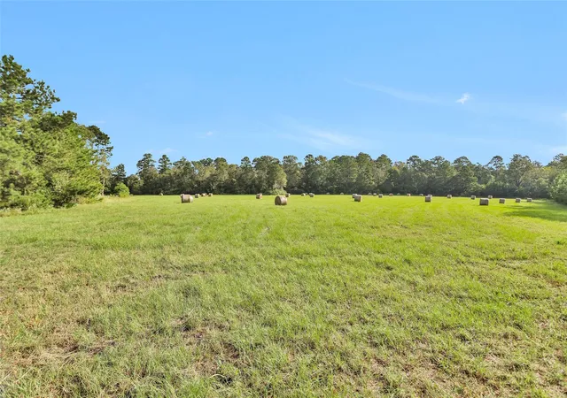 2nd image of 0000 W Fm 2693, New Waverly, TX 77358 | MLS# 31052504