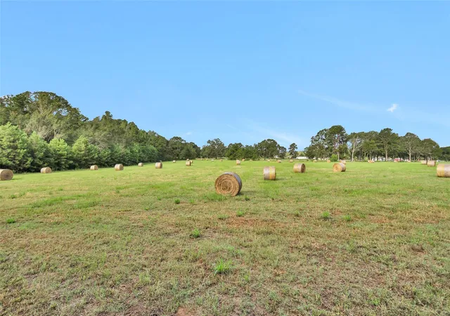 3rd image of 0000 W Fm 2693, New Waverly, TX 77358 | MLS# 31052504