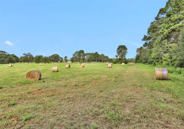 4th image of 0000 W Fm 2693, New Waverly, TX 77358 | MLS# 31052504