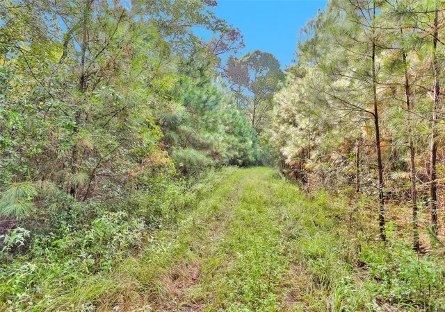 5th image of 0000 W Fm 2693, New Waverly, TX 77358 | MLS# 31052504