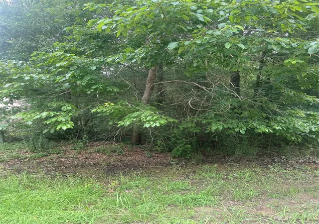 Photo 2 of Land for sale at Tbd Oakridge, Livingston, TX 77351 | MLS# 76740107 | Listing updated on 2026-06-04