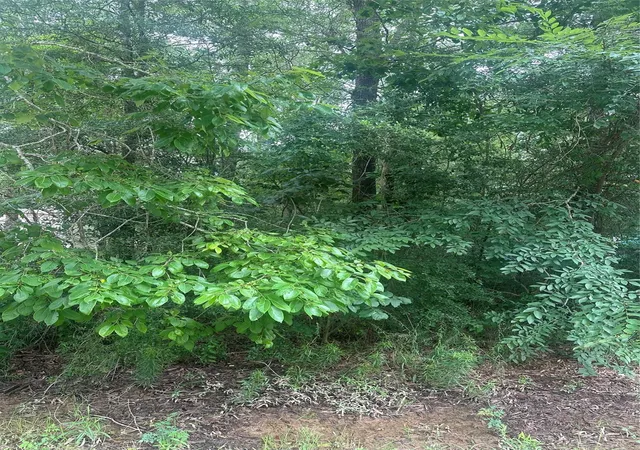Photo 4 of Land for sale at Tbd Oakridge, Livingston, TX 77351 | MLS# 76740107 | Listing updated on 2026-06-04