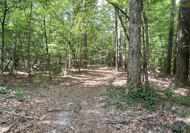 1st image of Tbd Upper Leggett Rd, Leggett, TX 77350 | MLS# 85175636